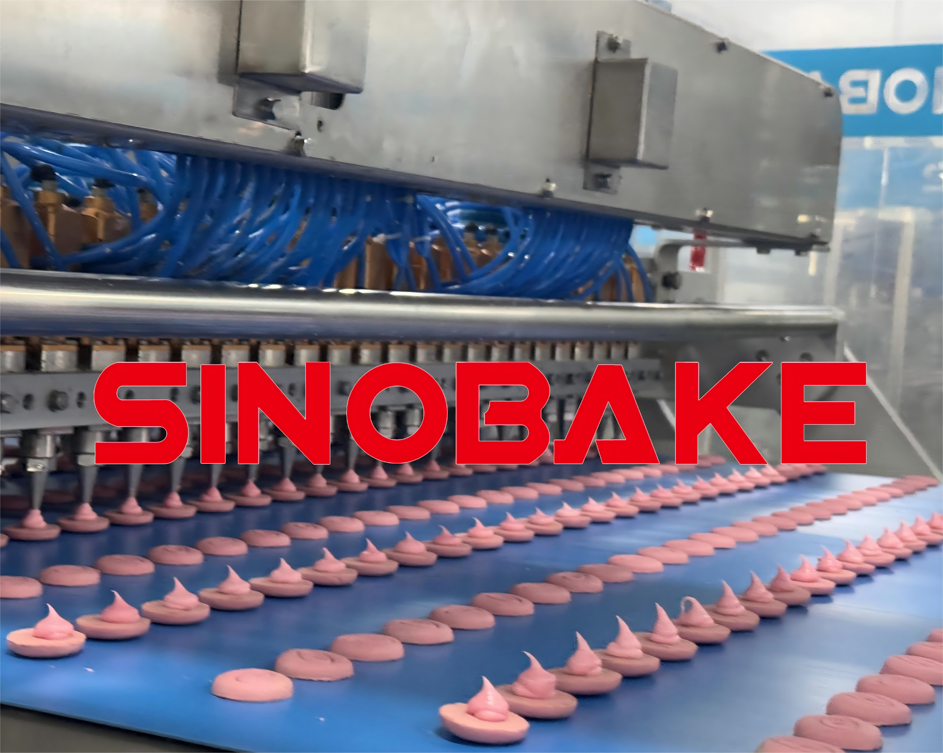 微信图片_20251103145026_19_315(1)(1)